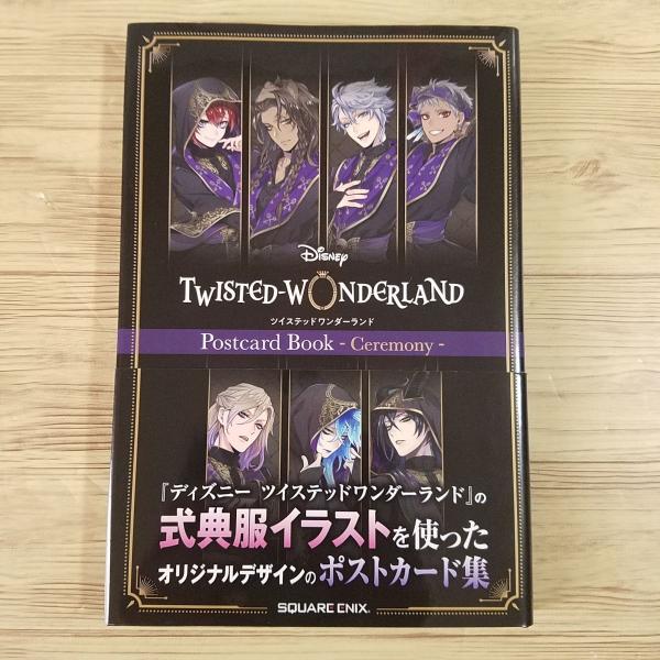 ポストカード[ディズニー ツイステッドワンダーランド ポストカード