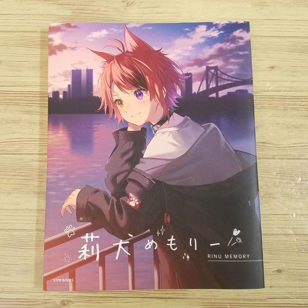 タレント本[莉犬めもりー RINU MEMORY（初版）] すとぷり : FUNFUN