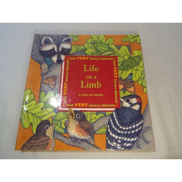 仕掛絵本[Life on a Limb : A POP-UP BOOK] 洋書 英語絵本