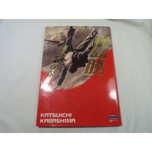 画集 樺島勝一 昭和のスーパーリアリズム画集 大正から昭和初期のスーパーイラストレーターの作品集 Boko1773mdlx Funfunほうむず 通販 Yahoo ショッピング