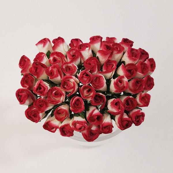 funfunhomes_mpf00516450059916