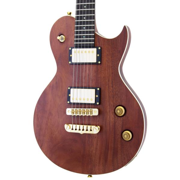 レスポールタイプ エレキギター アリアの人気商品 通販 価格比較 価格 Com