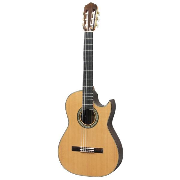ASTURIAS / SOLO CLASSICO PREMIO/C  WITH P.U.  オール単板/エレガット モデル　 アストリアス / ソロ クラシコ プレミオ/C