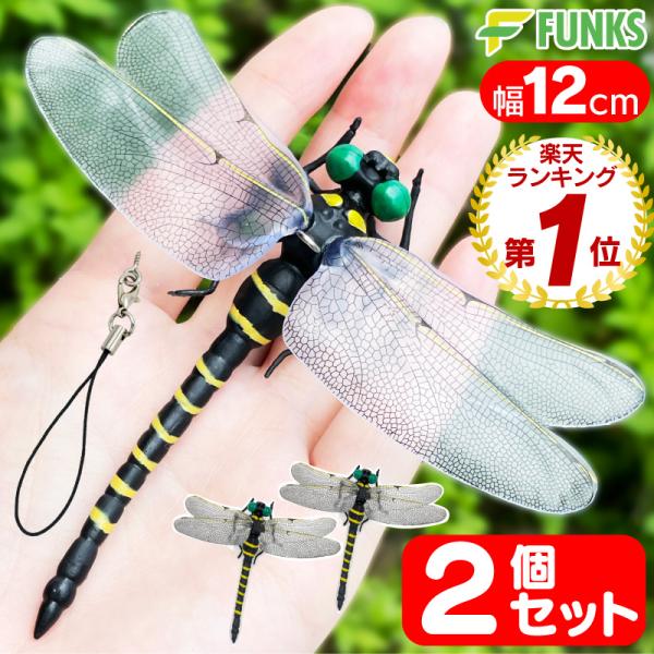 funks-store_oniyanma-2