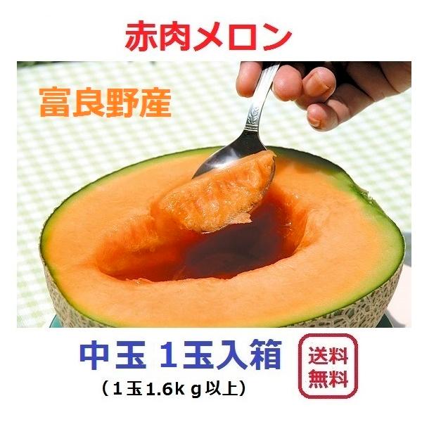 [Release date: June 30, 2026]【安全・安心の農家直送】本州の立茎栽培と異なり広い面積を活かした栽培をしており広く深く根を張り大きくて甘いメロンが育ちます。生産者自身が栽培から発送を手がけております。【説明カード付...