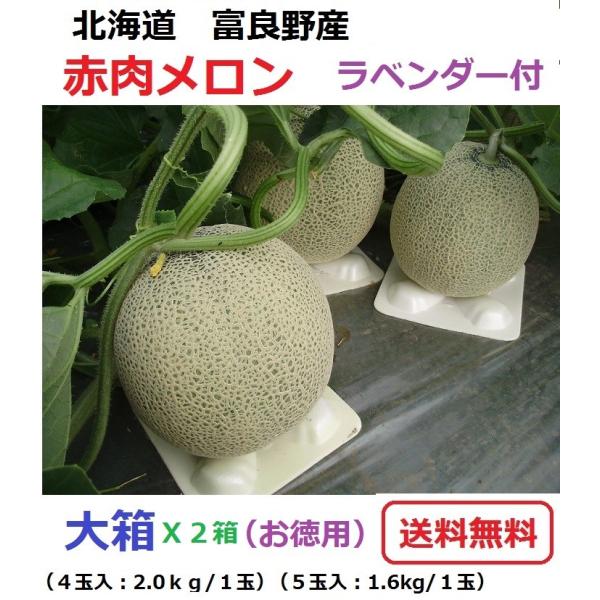 富良野産 赤肉メロン 大箱（4・5玉） X2箱 ラベンダー付き