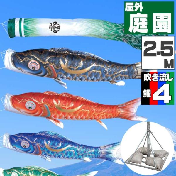  ̂ڂ ̂ڂ  뉀X^gJZbg @ 2.5 7_Zbg