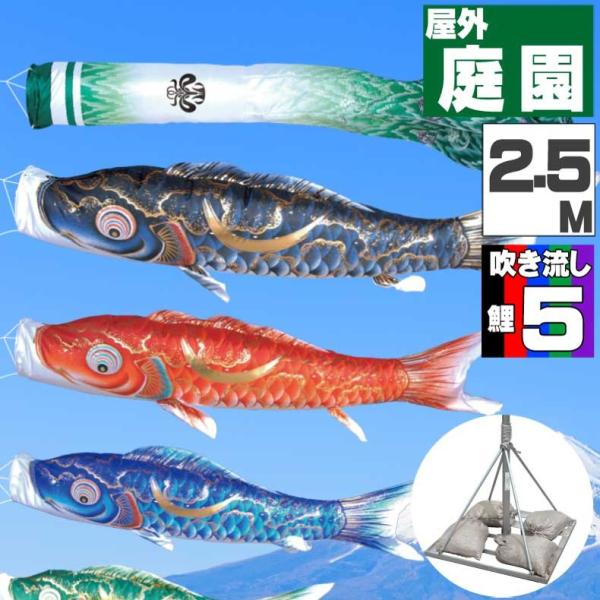  ̂ڂ ̂ڂ  뉀X^gJZbg @ 2.5 8_Zbg