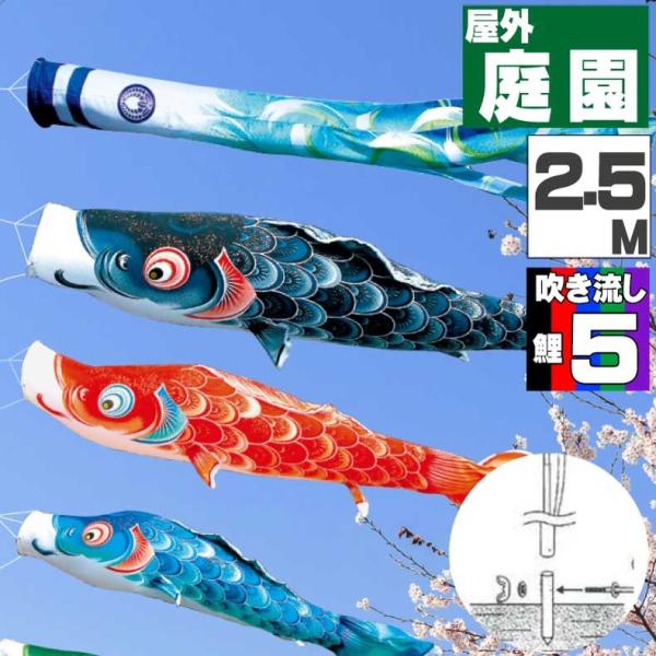  ̂ڂ ̂ڂ  JJ[eJZbg  2.5 8_Zbg