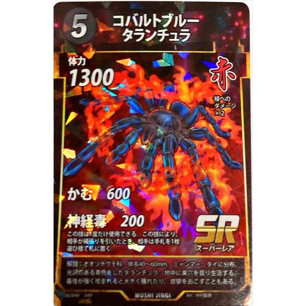 蟲神器 赤 コバルトブルータランチュラ SR : フリーアイYK - 通販