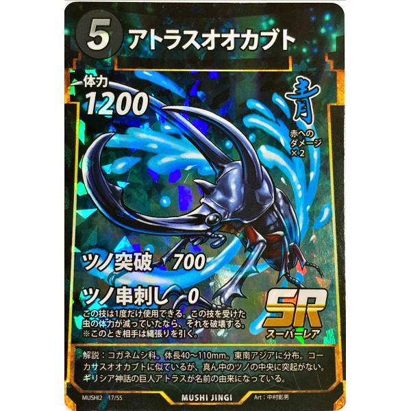 虫神器 SR18枚まとめ買い Amazon.co.jp: 虫神器 蟲神器 SR 6枚セット カードゲーム : おもちゃ