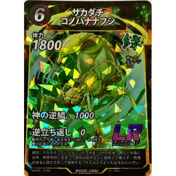 緑 紫 イザナギ＆イザナミ CX以下 3コン 33種99枚 アメノトリフネ 緑 紫 イザナギ＆イザナミ CX以下 3コン 33種99枚 アメノトリフネ