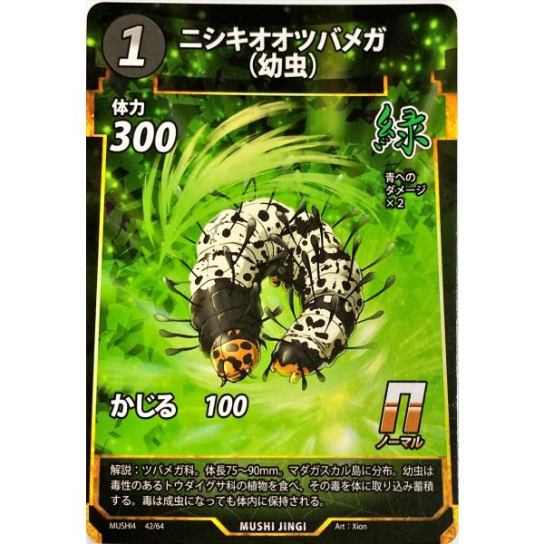 昆虫標本 カタゾウムシ ナミハンミョウ ニシキオオツバメガ セット furiiaiyk_m67