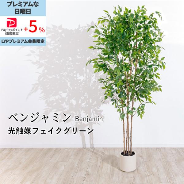 MINT ベンジャミン フェイクグリーン 光触媒フェイクグリーン 観葉植物