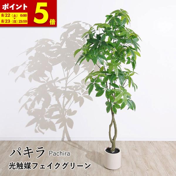 光触媒　人工観葉植物　フェイクグリーン　アーバンパキラ1.8m MINT パキラ フェイクグリーン 光触媒 観葉植物 造花 人工観葉植物