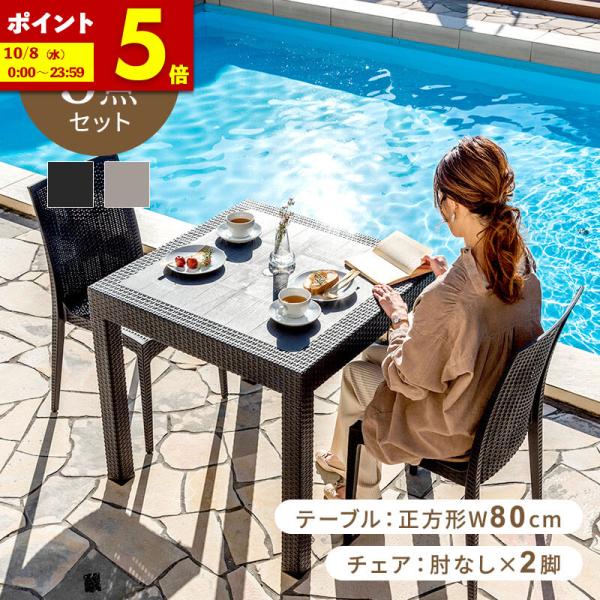 【せんちょう】ノースフェイス テーブル　チェアセット（非売品収納物付き） MINT（家具、インテリア） ガーデンテーブルセット チェア
