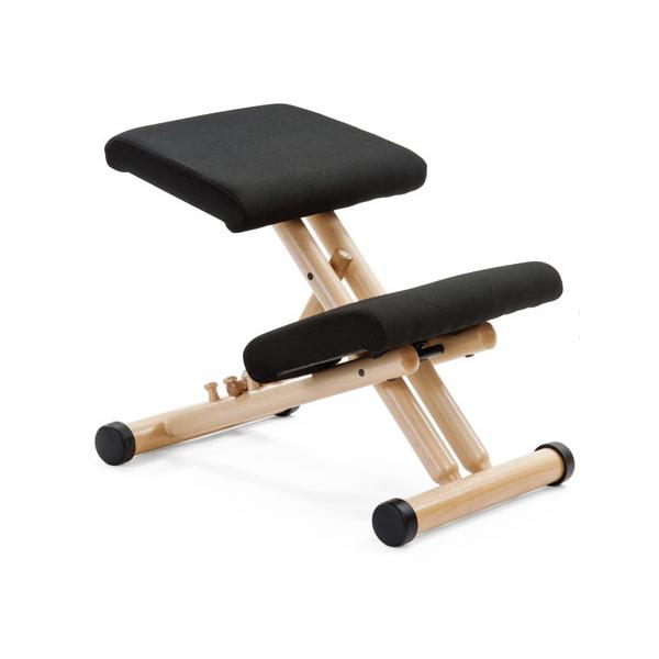 バランスチェア マルチ ヴァリエール バリエール Multi Varier