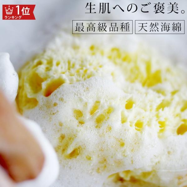 天然海綿スポンジ 最高品質のハニコム種 イタリア産「ベリーニ