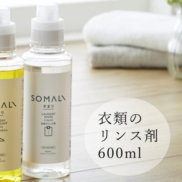 furo_1133-340813