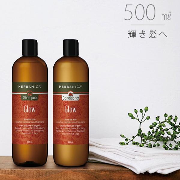 furo_1175-310204