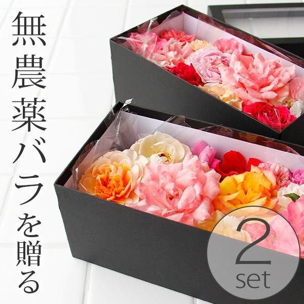 2本セット✕2箱 化粧箱入り ＋バラ1本 計5本 送料無料】バラ風呂「BATHLIER ROSE バスリエローズ」2箱セット 無農薬