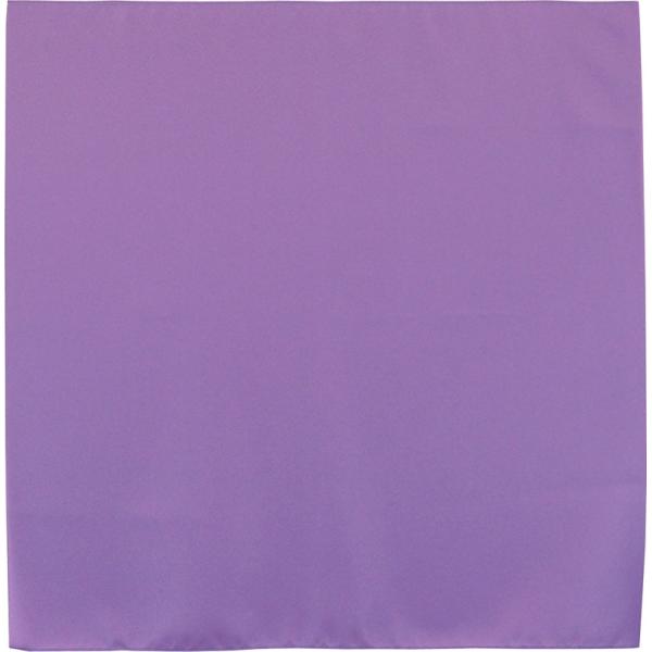 C~ 70cm znEngo |GXe100% ӂ낵10Zbg 