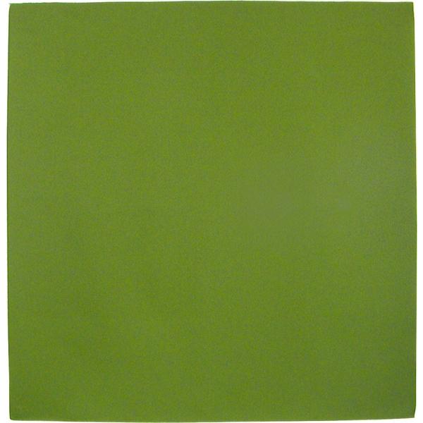 C~ 70cm znE |GXe100% ӂ낵10Zbg 