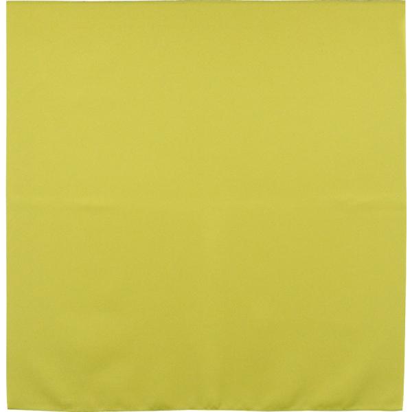 C~ 70cm znEYF |GXe100% ӂ낵10Zbg 