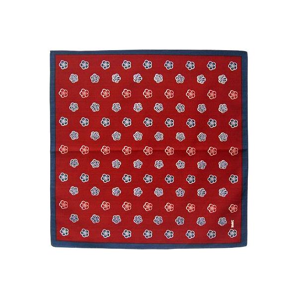 䒆 A C~ 50cm ٓ y˂~-GWz 100% `NX y[ւ̂  sz