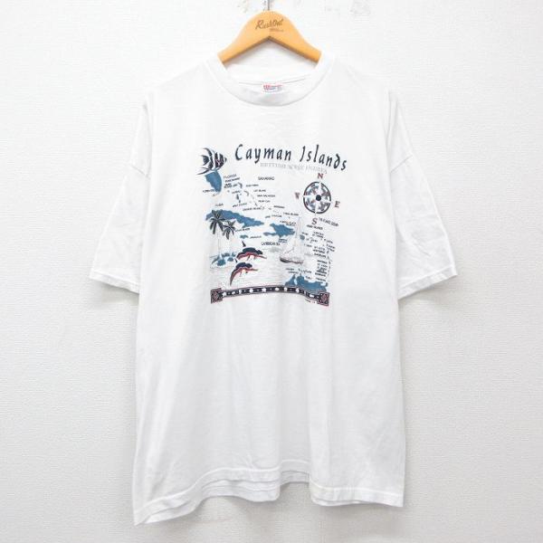 Hanes（ヘインズ） XL/古着 半袖 ビンテージ Tシャツ メンズ 00s