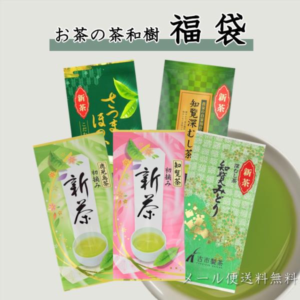 【 新茶予約受付中 】 お茶 緑茶 知覧茶 深蒸し茶 福袋 計480ｇ 5本セット 深むし茶 知覧産...