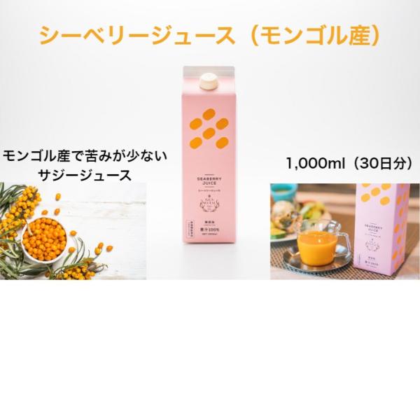 サジージュース 1000ml お試し サジー 鉄分 シーベリー 100% ストレート 沙棘 モンゴル国産 無添加 100％天然