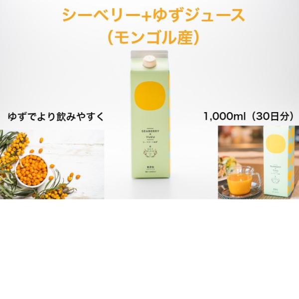 サジー シーベリージュース +ゆず 1000ml サジージュース おいしいサジー モンゴル産 鉄分 健康ドリンク 健康飲料 鉄分不足 元気 健康 美容 鉄分補給 栄養補給