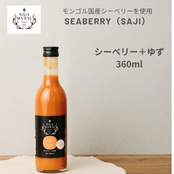 サジージュース サジー シーベリー 鉄分 モンゴル国産 鉄分補給 健康飲料 お試しサイズ 360ml +ゆず グアマラル お試し 美容 健康 沙棘 ギフト