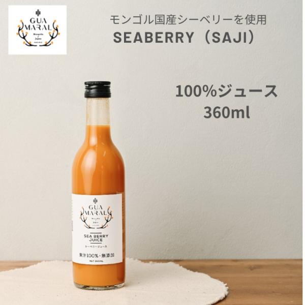 サジージュース ストレート サジー シーベリー 鉄分 モンゴル国産 鉄分補給 健康飲料 お試しサイズ 360ml グアマラル お試し 美容 健康 沙棘 ギフト