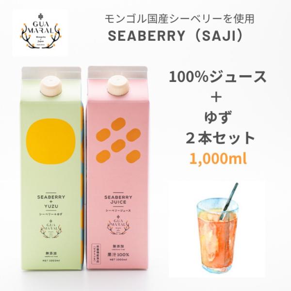 サジージュース サジー＋ゆずジュース 1000mlセット お試し サジー 鉄分 シーベリー 100% ストレート 沙棘 モンゴル国産 無添加 100％天然