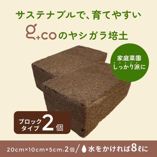 2個セット】 ココカラブロック ココピート ヤシガラ 有機培養土 栽培