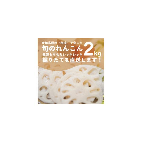 ■ 容量　生レンコン２kg　タイプ：【冷蔵】