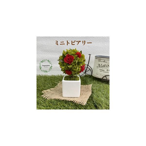 ■ 容量　プリザーブドフラワー【プティシュシュ/レッド】1個　　商品サイズ：約W9×D9×H15.5cm　ケースサイズ：W12×D12×H16cm■ 配送について　ご入金確認後、2週間程で発送いたします。　※配送対象外【離島・北海道・沖縄】...