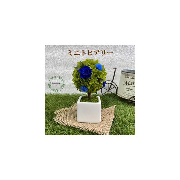 ■ 容量　プリザーブドフラワー【プティシュシュ/ブルー】1個　　商品サイズ：約W9×D9×H15.5cm　ケースサイズ：W12×D12×H16cm■ 配送について　ご入金確認後、2週間程で発送いたします。　※配送対象外【離島・北海道・沖縄】...