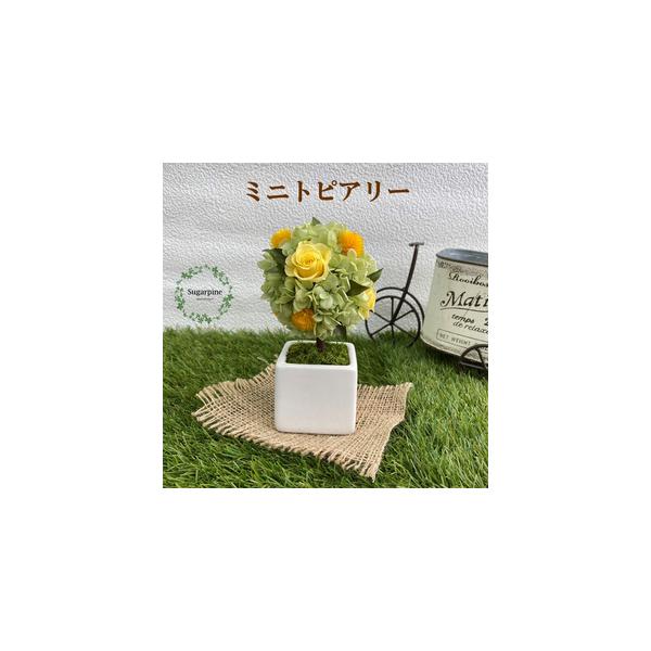 ■ 容量　プリザーブドフラワー【プティシュシュ/イエロー】1個　　商品サイズ：約W9×D9×H15.5cm　ケースサイズ：W12×D12×H16cm■ 配送について　ご入金確認後、2週間程で発送いたします。　※配送対象外【離島・北海道・沖縄...