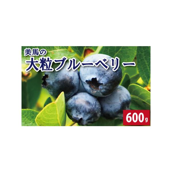 ■ 容量　100g×6パック（粒16から20mm)【賞味期限】発送日より７日間程度■ 配送について　6月から7月末まで発送※7月から3月に入金いただいた場合は、翌年度発送となります。　タイプ：【冷蔵】