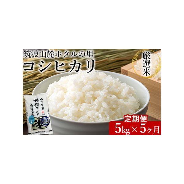 furunavi_1002361