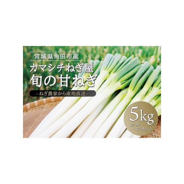 ■ 容量　甘ねぎ5kg（約27本〜42本）　【産地】宮城県角田市　【配送不可地域】沖縄県・離島　【賞味期限】　発送から1週間　生ものですのでお早めにお召し上がりください　・発送は収穫の都合上、毎週金曜日となります。予めご了承ください　【保存...