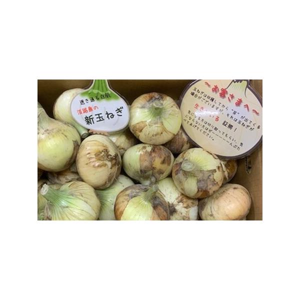 ■ 容量　新玉ねぎ8kg■ 配送について　２月下旬〜６月頃にかけてお申込み順に発送予定です。　※天候等により大幅に出荷が前後する事もございますのでご了承ください。　※長期不在、転居等でお受け取りいただけない場合、再送はいたしかねます。ご了承...