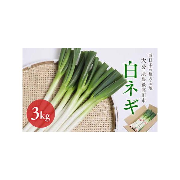 ■ 容量　白ネギ　3kg■ 配送について　2025年12月中旬以降順次配送　※生育状況等により配送時期が前後する場合がございます。　※配達日の指定はできません。　※北海道、沖縄への配送はできません。　生鮮食品ですのでお早めにお召し上がりくだ...