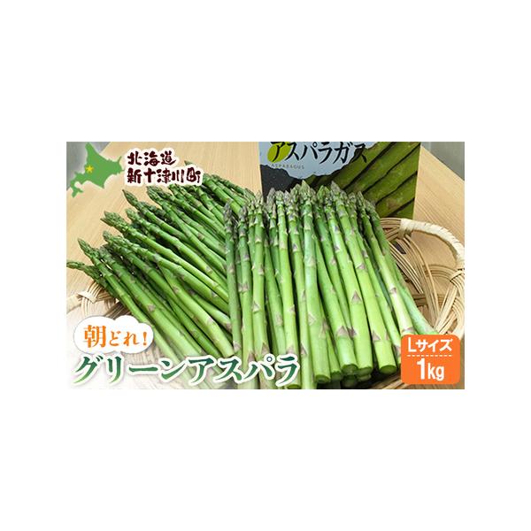 ■ 容量　グリーンアスパラ　Lサイズ500g×2袋　合計1kg■ 配送について　令和8年5月中旬〜6月中旬に発送いたします。　タイプ：【冷蔵】