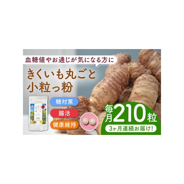 ふるさと納税 【全3回定期便】きくいも 丸ごと小粒っ粉 1袋 210粒 菊芋 サプリメント サプリ [ABBZ010] 福岡県築上町