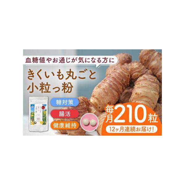 ふるさと納税 【全12回定期便】きくいも 丸ごと小粒っ粉 1袋 210粒 菊芋 サプリメント サプリ [ABBZ012] 福岡県築上町