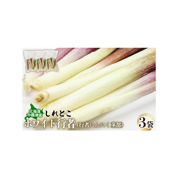 ■ 容量　北海道中標津産 しれとこ ホワイト行者（行者にんにく茎部）3袋■ 配送について　入金確認後、準備ができ次第随時発送いたします。　タイプ：【冷凍】